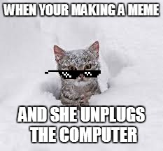 Disgruntled | WHEN YOUR MAKING A MEME; AND SHE UNPLUGS THE COMPUTER | image tagged in disgruntled | made w/ Imgflip meme maker