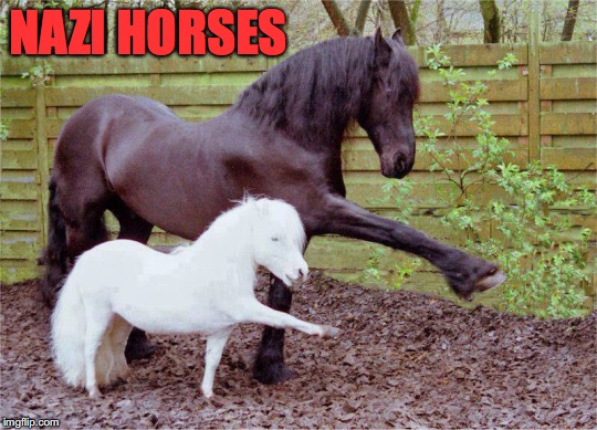 Horse Gait: A New Scandal | NAZI HORSES | image tagged in horses | made w/ Imgflip meme maker