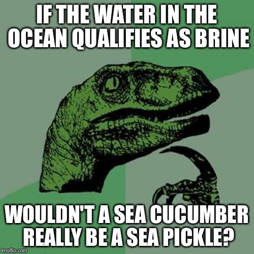 Philosoraptor Meme | IF THE WATER IN THE OCEAN QUALIFIES AS BRINE; WOULDN'T A SEA CUCUMBER REALLY BE A SEA PICKLE? | image tagged in memes,philosoraptor | made w/ Imgflip meme maker