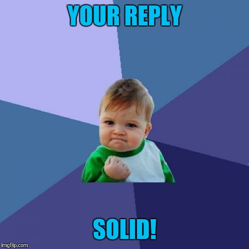 Success Kid Meme | YOUR REPLY SOLID! | image tagged in memes,success kid | made w/ Imgflip meme maker