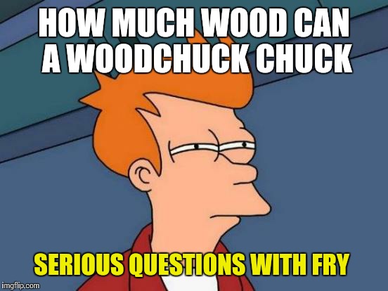 Futurama Fry Meme | HOW MUCH WOOD CAN A WOODCHUCK CHUCK; SERIOUS QUESTIONS WITH FRY | image tagged in memes,futurama fry | made w/ Imgflip meme maker