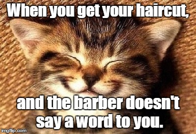 smiling kitty | When you get your haircut, and the barber doesn't say a word to you. | image tagged in smiling kitty | made w/ Imgflip meme maker