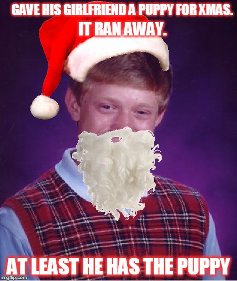 Christmas Bad Luck Brian | GAVE HIS GIRLFRIEND A PUPPY FOR XMAS. IT RAN AWAY. AT LEAST HE HAS THE PUPPY | image tagged in memes,bad luck brian,christmas,dad jokes,puppies,girlfriends | made w/ Imgflip meme maker