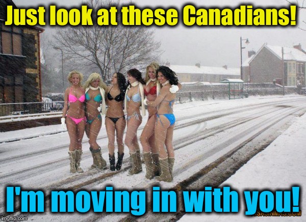 Just look at these Canadians! I'm moving in with you! | made w/ Imgflip meme maker