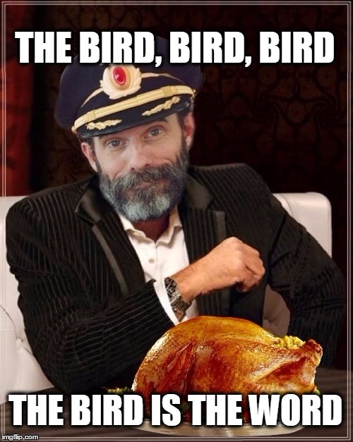 THE BIRD, BIRD, BIRD; THE BIRD IS THE WORD | image tagged in captain obvious,turkey,most obviously interesting pumpkin,holidays,it's what's for dinner | made w/ Imgflip meme maker