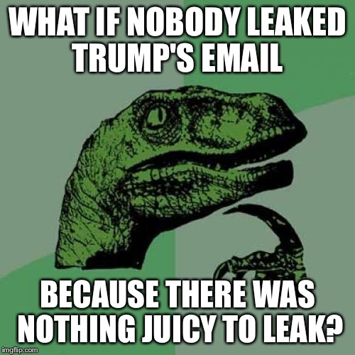 Philosoraptor Meme | WHAT IF NOBODY LEAKED TRUMP'S EMAIL; BECAUSE THERE WAS NOTHING JUICY TO LEAK? | image tagged in memes,philosoraptor,trump,hillary clinton,corruption,election 2016 | made w/ Imgflip meme maker