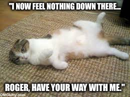 "I NOW FEEL NOTHING DOWN THERE... ROGER, HAVE YOUR WAY WITH ME." | made w/ Imgflip meme maker