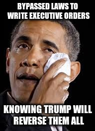 Sad Obama | BYPASSED LAWS TO WRITE EXECUTIVE ORDERS; KNOWING TRUMP WILL REVERSE THEM ALL | image tagged in sad obama | made w/ Imgflip meme maker