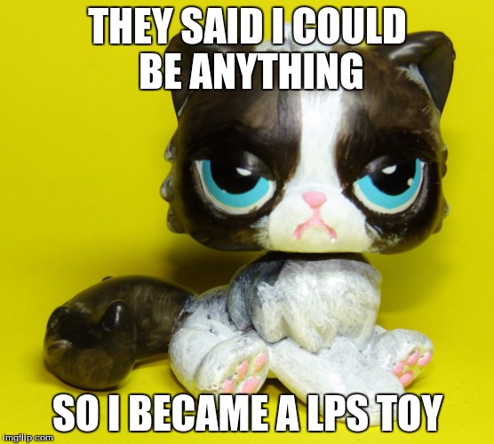 Grumpy LPS | THEY SAID I COULD BE ANYTHING; SO I BECAME A LPS TOY | image tagged in grumpy lps | made w/ Imgflip meme maker