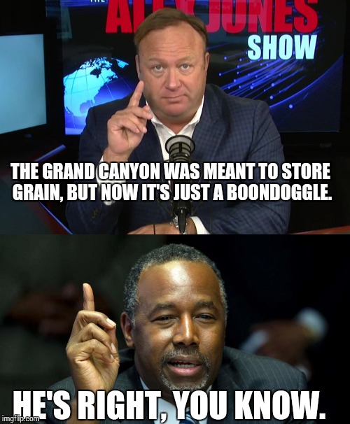 THE GRAND CANYON WAS MEANT TO STORE GRAIN, BUT NOW IT'S JUST A BOONDOGGLE. HE'S RIGHT, YOU KNOW. | image tagged in memes,alex jones,ben carson,hoax machine | made w/ Imgflip meme maker