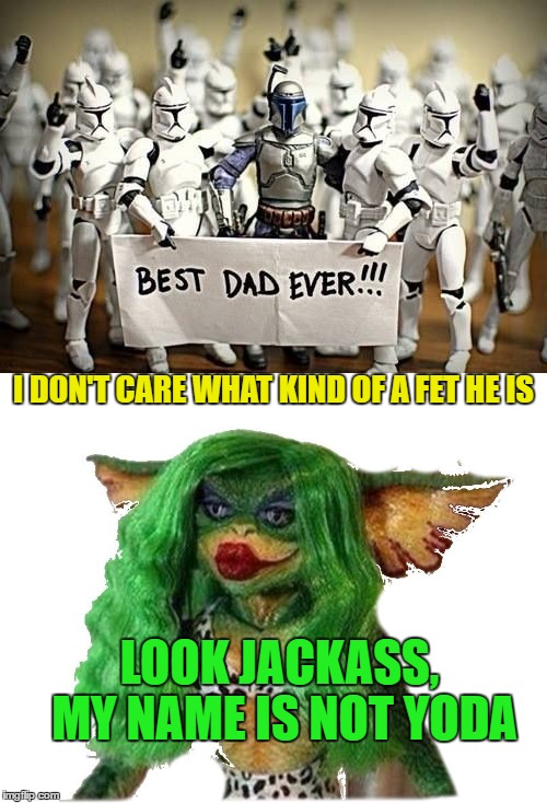 I DON'T CARE WHAT KIND OF A FET HE IS LOOK JACKASS, MY NAME IS NOT YODA | made w/ Imgflip meme maker