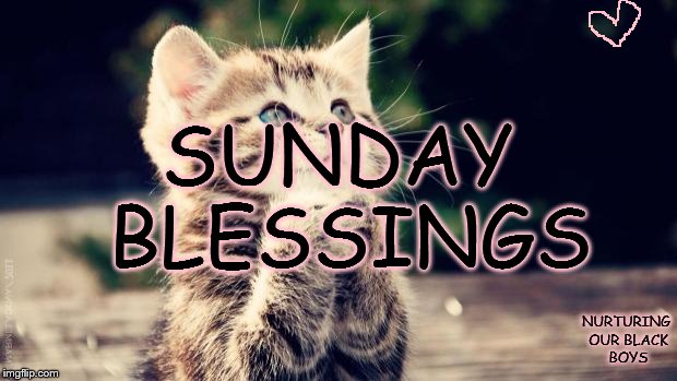 Praying cat | SUNDAY BLESSINGS; NURTURING OUR BLACK BOYS | image tagged in praying cat | made w/ Imgflip meme maker