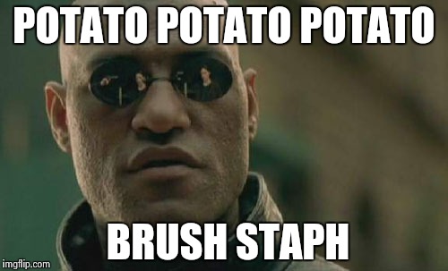 Matrix Morpheus Meme | POTATO POTATO POTATO; BRUSH STAPH | image tagged in memes,matrix morpheus | made w/ Imgflip meme maker