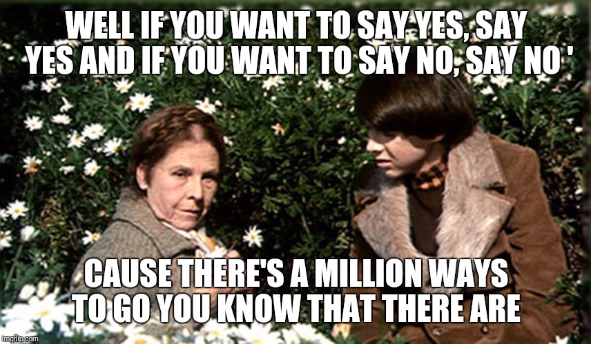 Harold and Maude with Daises, Pensive | WELL IF YOU WANT TO SAY YES, SAY YES
AND IF YOU WANT TO SAY NO, SAY NO
'; CAUSE THERE'S A MILLION WAYS TO GO
YOU KNOW THAT THERE ARE | image tagged in harold and maude with daises pensive | made w/ Imgflip meme maker
