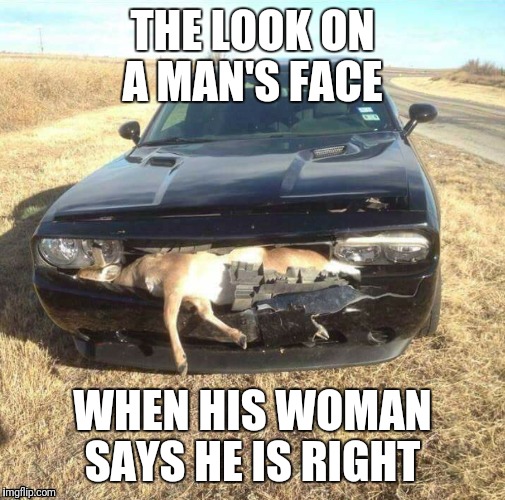 THE LOOK ON A MAN'S FACE; WHEN HIS WOMAN SAYS HE IS RIGHT | image tagged in deer in headlights,funny memes,original meme,true story,humor | made w/ Imgflip meme maker