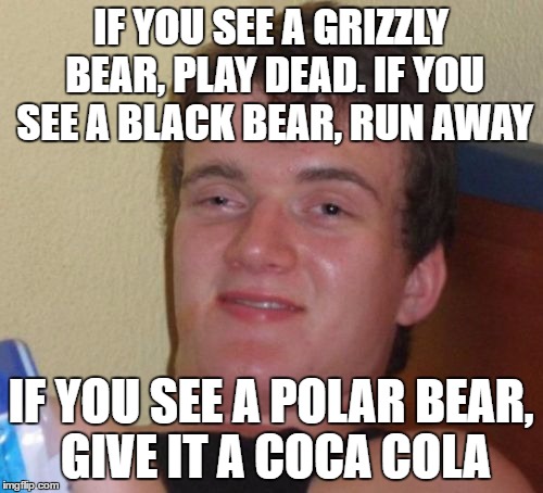 10 Guy Meme | IF YOU SEE A GRIZZLY BEAR, PLAY DEAD. IF YOU SEE A BLACK BEAR, RUN AWAY; IF YOU SEE A POLAR BEAR, GIVE IT A COCA COLA | image tagged in memes,10 guy | made w/ Imgflip meme maker