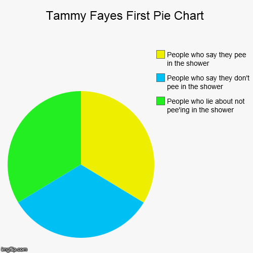 image tagged in funny,pie charts | made w/ Imgflip chart maker