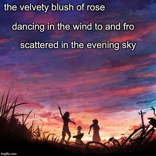 A poem by Defy (AllPoetry) | the velvety blush of rose; dancing in the wind to and fro; scattered in the evening sky | image tagged in memes,allpoetry | made w/ Imgflip meme maker