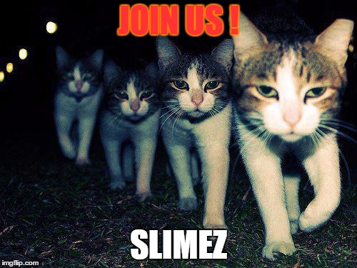 Wrong Neighboorhood Cats Meme | JOIN US ! SLIMEZ | image tagged in memes,wrong neighboorhood cats | made w/ Imgflip meme maker