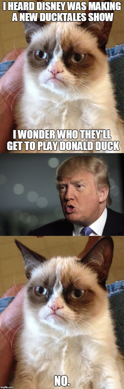 Donald Duckface | I HEARD DISNEY WAS MAKING A NEW DUCKTALES SHOW; I WONDER WHO THEY'LL GET TO PLAY DONALD DUCK; NO. | image tagged in memes,grumpy cat,ducktales,donald trump,trump,donald duck | made w/ Imgflip meme maker