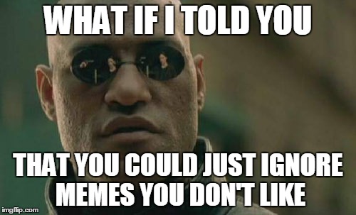Mind.  Blown. |  WHAT IF I TOLD YOU; THAT YOU COULD JUST IGNORE MEMES YOU DON'T LIKE | image tagged in memes,matrix morpheus | made w/ Imgflip meme maker