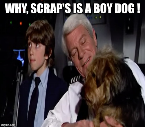 WHY, SCRAP'S IS A BOY DOG ! | made w/ Imgflip meme maker