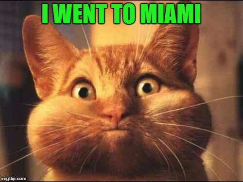 I WENT TO MIAMI | made w/ Imgflip meme maker
