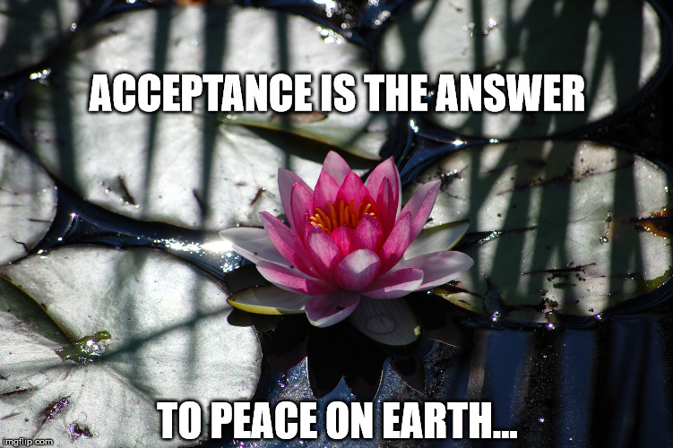 Peace on Earth | ACCEPTANCE IS THE ANSWER; TO PEACE ON EARTH... | image tagged in lilly flower,accceptance,peace on earth | made w/ Imgflip meme maker