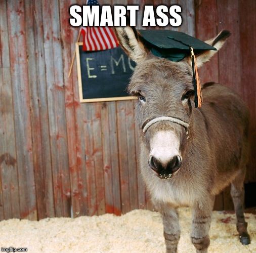 SMART ASS | image tagged in memes,lol | made w/ Imgflip meme maker