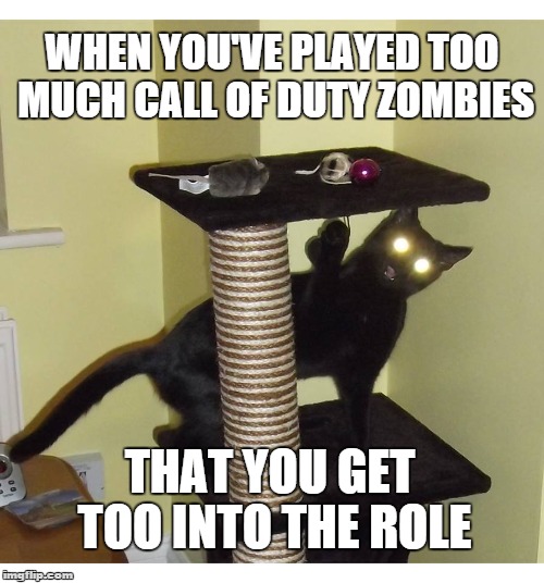 Zombie Cat | WHEN YOU'VE PLAYED TOO MUCH CALL OF DUTY ZOMBIES; THAT YOU GET TOO INTO THE ROLE | image tagged in cod,video games,cat,zombie | made w/ Imgflip meme maker