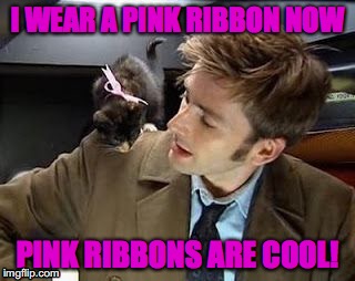 I WEAR A PINK RIBBON NOW; PINK RIBBONS ARE COOL! | image tagged in doctor who,tennant kitten | made w/ Imgflip meme maker