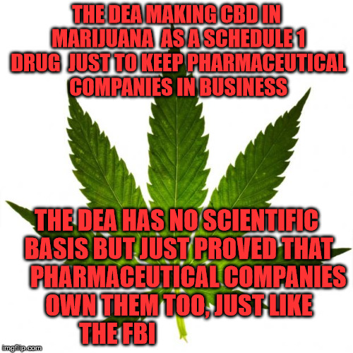marijuana666 | THE DEA MAKING CBD IN MARIJUANA 
AS A SCHEDULE 1 DRUG  JUST TO KEEP PHARMACEUTICAL COMPANIES IN BUSINESS; THE DEA HAS NO SCIENTIFIC BASIS BUT JUST PROVED THAT     PHARMACEUTICAL COMPANIES OWN THEM TOO, JUST LIKE THE FBI | image tagged in marijuana666 | made w/ Imgflip meme maker