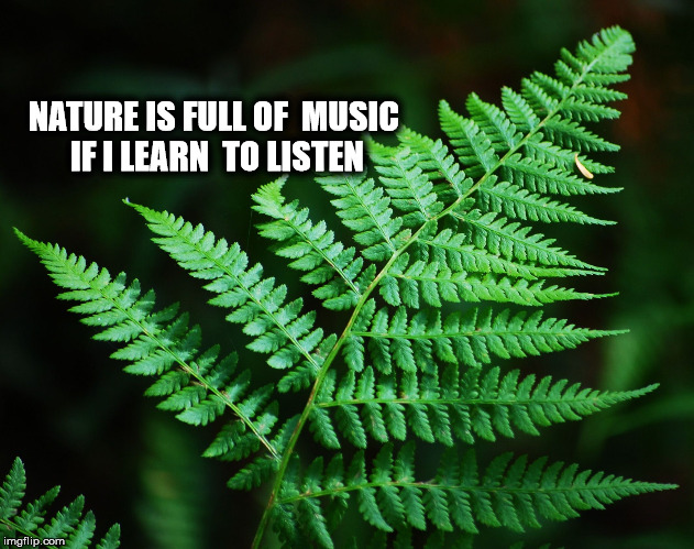 Nature is full of Music | NATURE IS FULL OF 
MUSIC IF I LEARN 
TO LISTEN | image tagged in music,nature,beauty | made w/ Imgflip meme maker