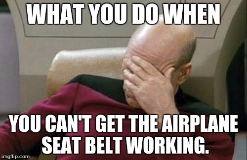 Captain Picard Facepalm | WHAT YOU DO WHEN; YOU CAN'T GET THE AIRPLANE SEAT BELT WORKING. | image tagged in memes,captain picard facepalm | made w/ Imgflip meme maker