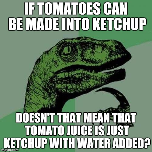 Philosoraptor Meme | IF TOMATOES CAN BE MADE INTO KETCHUP; DOESN'T THAT MEAN THAT TOMATO JUICE IS JUST KETCHUP WITH WATER ADDED? | image tagged in memes,philosoraptor | made w/ Imgflip meme maker