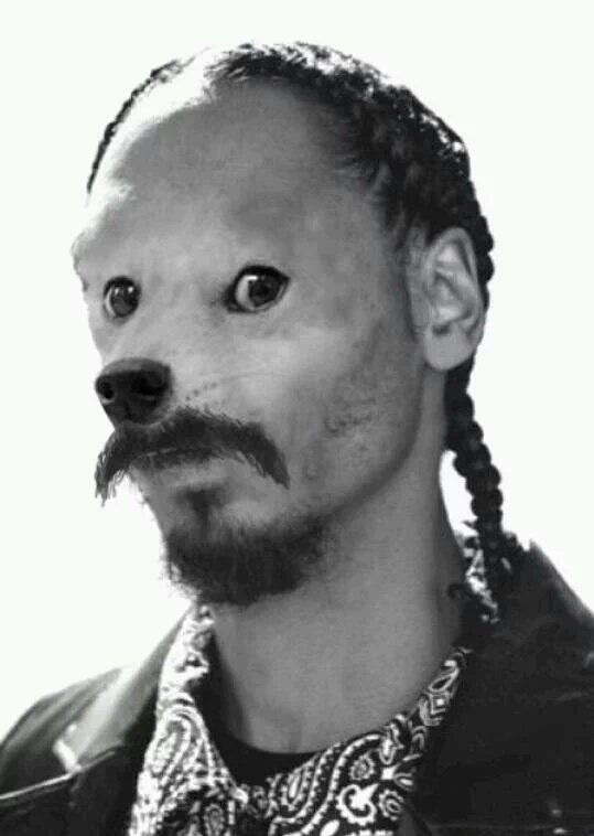 High Quality Snoopdoge Blank Meme Template