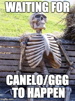 Canelo vs. Gennady Golovkin: the only boxing match that matters anymore. | WAITING FOR; CANELO/GGG TO HAPPEN | image tagged in memes,waiting skeleton | made w/ Imgflip meme maker