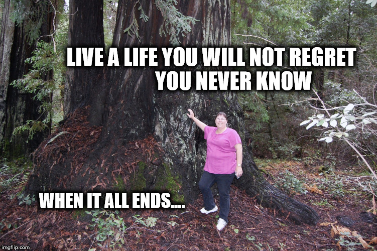 Live a full life | LIVE A LIFE YOU WILL NOT REGRET           YOU NEVER KNOW; WHEN IT ALL ENDS.... | image tagged in no regrets,live | made w/ Imgflip meme maker