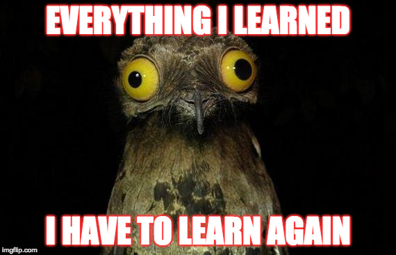 Weird Stuff I Do Potoo Meme | EVERYTHING I LEARNED; I HAVE TO LEARN AGAIN | image tagged in memes,weird stuff i do potoo | made w/ Imgflip meme maker