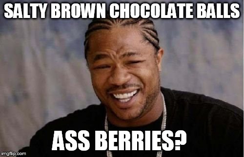 Yo Dawg Heard You Meme | SALTY BROWN CHOCOLATE BALLS ASS BERRIES? | image tagged in memes,yo dawg heard you | made w/ Imgflip meme maker