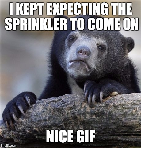 Confession Bear Meme | I KEPT EXPECTING THE SPRINKLER TO COME ON NICE GIF | image tagged in memes,confession bear | made w/ Imgflip meme maker