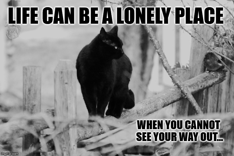 Catwalk | LIFE CAN BE A LONELY PLACE; WHEN YOU CANNOT SEE YOUR WAY OUT... | image tagged in catwalk,cats,life,lonely | made w/ Imgflip meme maker