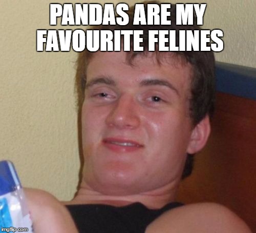 10 Guy Meme | PANDAS ARE MY FAVOURITE FELINES | image tagged in memes,10 guy | made w/ Imgflip meme maker