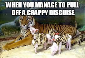 When your disguise sucks | WHEN YOU MANAGE TO PULL OFF A CRAPPY DISGUISE | image tagged in animals,tiger,pig,pigs | made w/ Imgflip meme maker