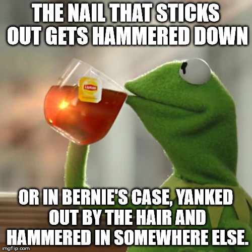 But That's None Of My Business Meme | THE NAIL THAT STICKS OUT GETS HAMMERED DOWN OR IN BERNIE'S CASE, YANKED OUT BY THE HAIR AND HAMMERED IN SOMEWHERE ELSE. | image tagged in memes,but thats none of my business,kermit the frog | made w/ Imgflip meme maker