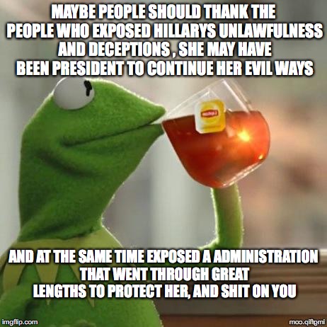 Thank You Image Flip | MAYBE PEOPLE SHOULD THANK THE PEOPLE WHO EXPOSED HILLARYS UNLAWFULNESS AND DECEPTIONS , SHE MAY HAVE BEEN PRESIDENT TO CONTINUE HER EVIL WAYS; AND AT THE SAME TIME EXPOSED A ADMINISTRATION THAT WENT THROUGH GREAT LENGTHS TO PROTECT HER, AND SHIT ON YOU | image tagged in thank you image flip | made w/ Imgflip meme maker