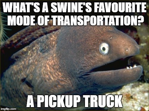 Bad Joke Eel Meme | WHAT'S A SWINE'S FAVOURITE MODE OF TRANSPORTATION? A PICKUP TRUCK | image tagged in memes,bad joke eel | made w/ Imgflip meme maker