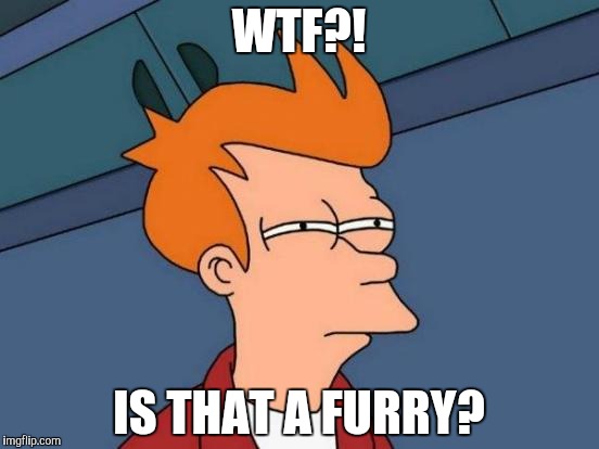 Futurama Fry | WTF?! IS THAT A FURRY? | image tagged in memes,futurama fry | made w/ Imgflip meme maker