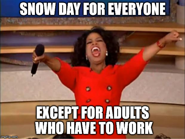 Oprah You Get A Meme | SNOW DAY FOR EVERYONE EXCEPT FOR ADULTS WHO HAVE TO WORK | image tagged in memes,oprah you get a | made w/ Imgflip meme maker