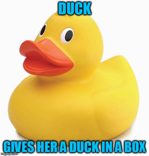 DUCK GIVES HER A DUCK IN A BOX | made w/ Imgflip meme maker